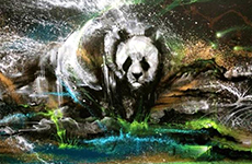 贝伦斯精品案例