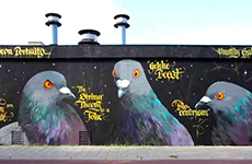 贝伦斯精品案例