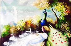 贝伦斯精品案例