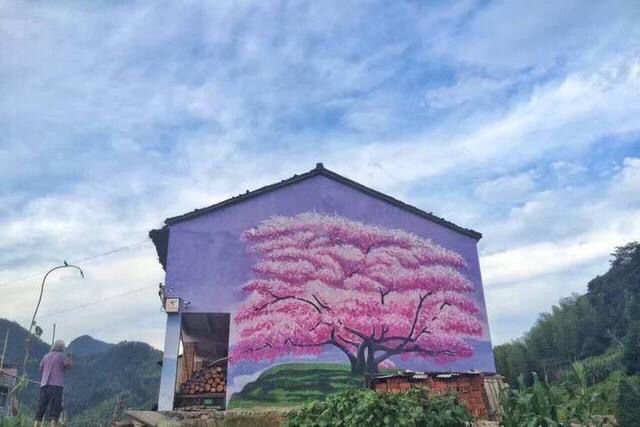 磐安：美丽乡村墙绘 山野惊艳绽放