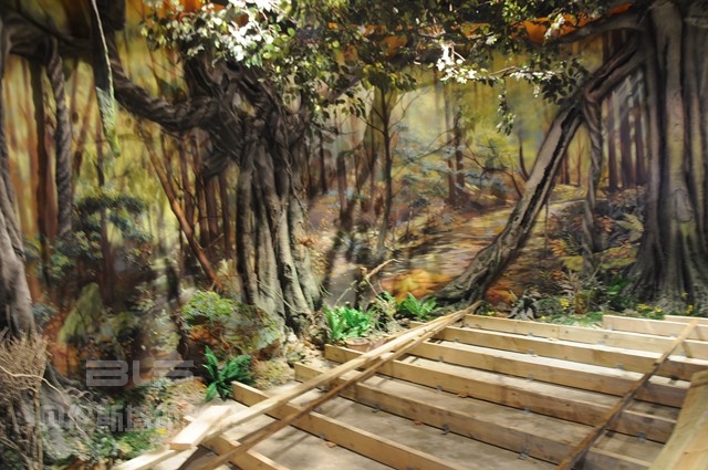 穹窿山万鸟园科普馆 (18)