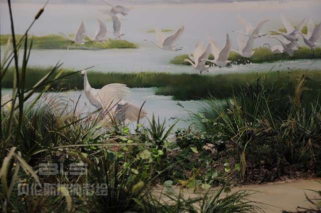 穹窿山万鸟园科普馆 (16)