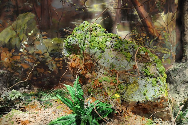 穹窿山万鸟园科普馆 (17)